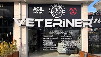 Beylikdüzü Veteriner - Petmundo Veteriner Kliniği | Nöbetçi Veteriner | 24 Saat Açık Veteriner | Acil Veteriner