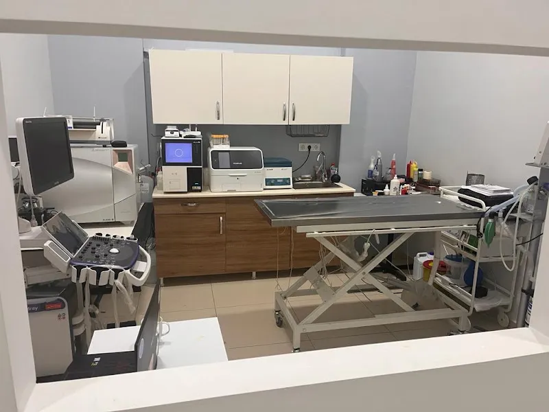 Beylikdüzü Veteriner - Petmundo Veteriner Kliniği | Nöbetçi Veteriner | 24 Saat Açık Veteriner | Acil Veteriner foto 2
