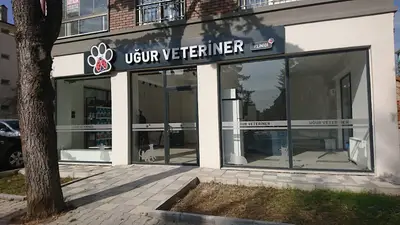 BOLU UĞUR VETERİNER KLİNİĞİ