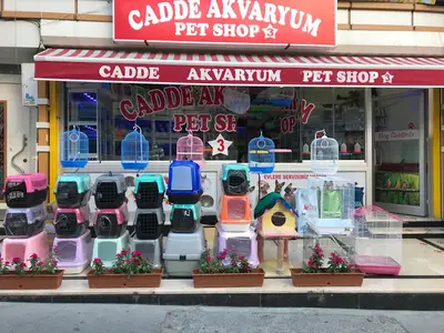 ROYAL PET SHOP