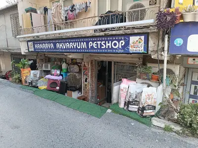 Kanarya Akvaryum PetŞhop