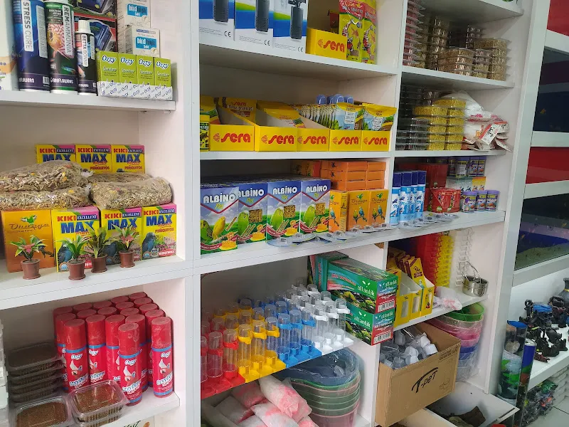 Yaşar Akvaryum ve petshop foto 2