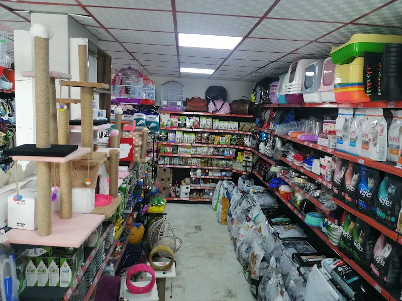 Terapi petShop foto 2