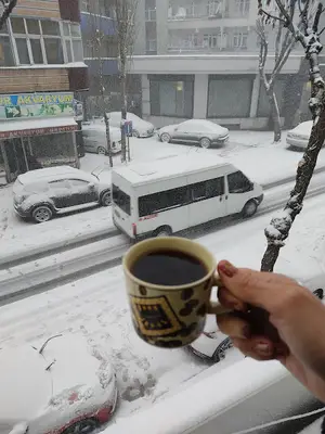 Beynur Akvaryum