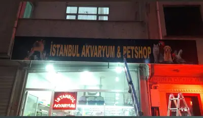 İstanbul akvaryum&petshop