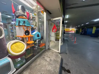 Ataköy ezgi petshop