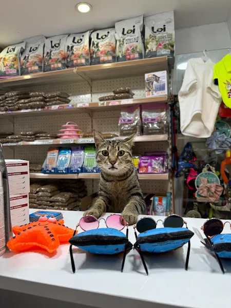 ORTAKÖY VADİ PETSHOP foto 2
