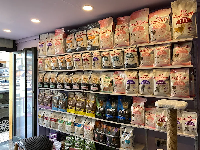Vita Petshop Beylikdüzü, Esenyurt Petshop (Güzelyurt mah.) foto 2