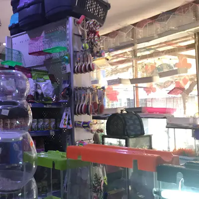 BETA PETSHOP