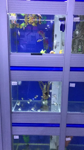 BETA PETSHOP foto 2