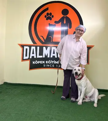 Dalmaçyalı Köpek Eğitim ve Oteli