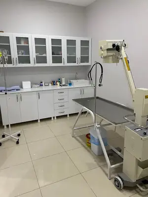 Ümraniye Vita VETERİNER