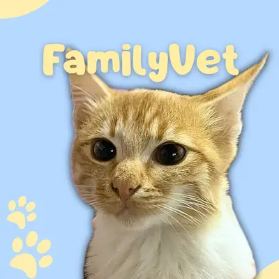Family Veteriner Kliniği