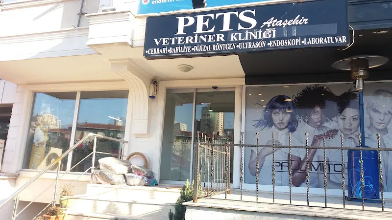 Pets Ataşehir Veteriner Kliniği - Pet Kuaför foto 1