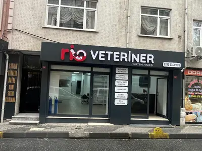 Rio Veteriner Muayenehanesi