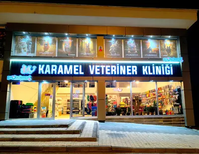 Veteriner Kliniği