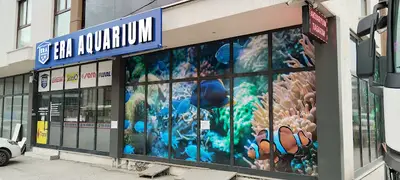 Era Akvaryum