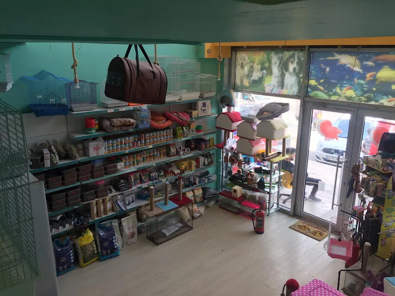Pekcan Petshop foto 2