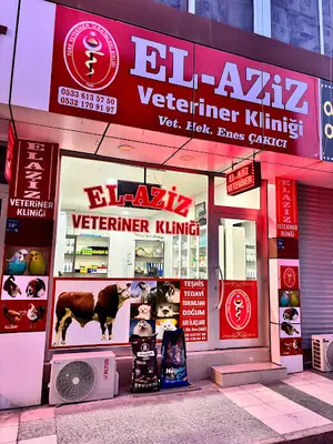 ELAZİZ VETERİNER KLİNİĞİ