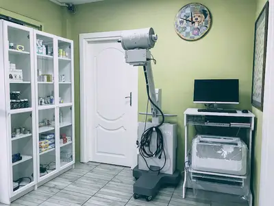 Mesir Veteriner Kliniği