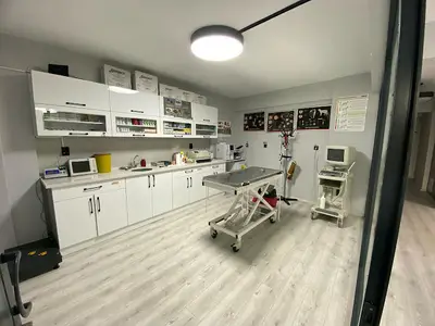 Uşak Vet Academia Veteriner Kliniği