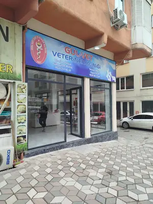 Soma Gül-Vet