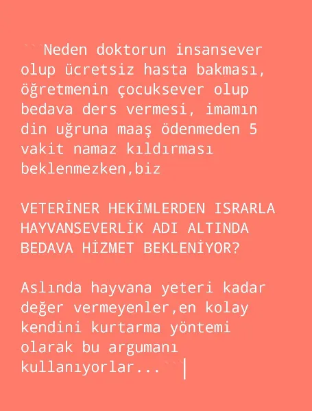 Soma Gül-Vet foto 2