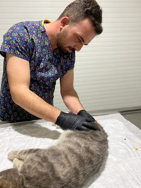 Ege Veteriner Kliniği foto 2