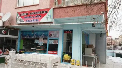Lider Akvaryum