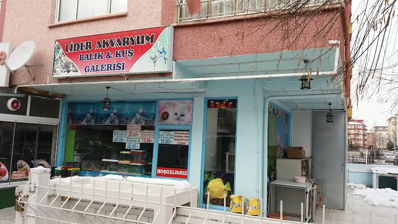 Lider Akvaryum foto 1