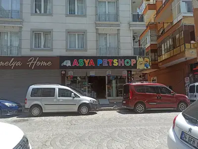 ASYA PETSHOP