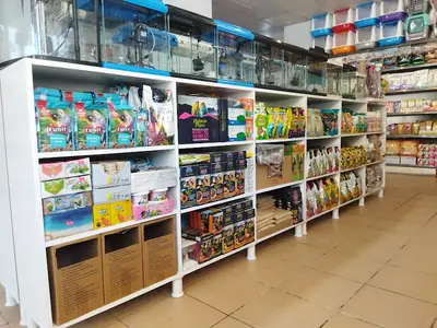 Aybars petshop