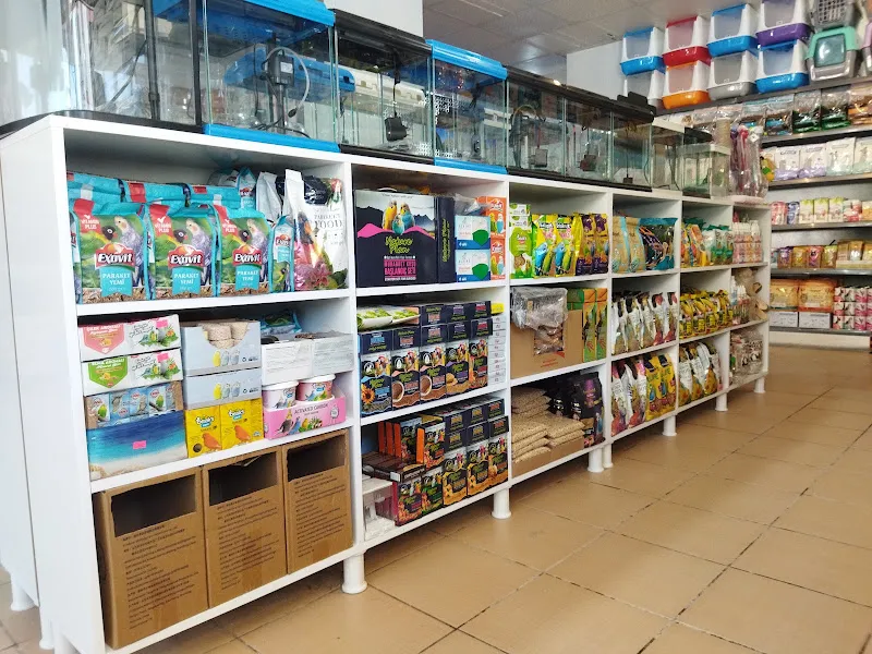 Aybars petshop foto 1