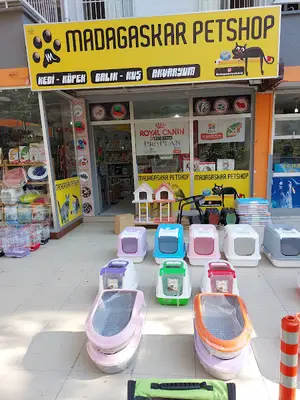 Oscar Pet market