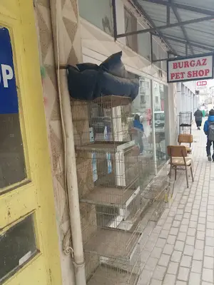 Burgaz Petshop & Balık Av Malzemeleri
