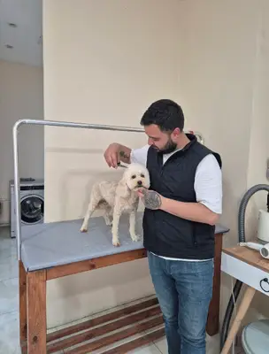 Çapili Pet Kuaför