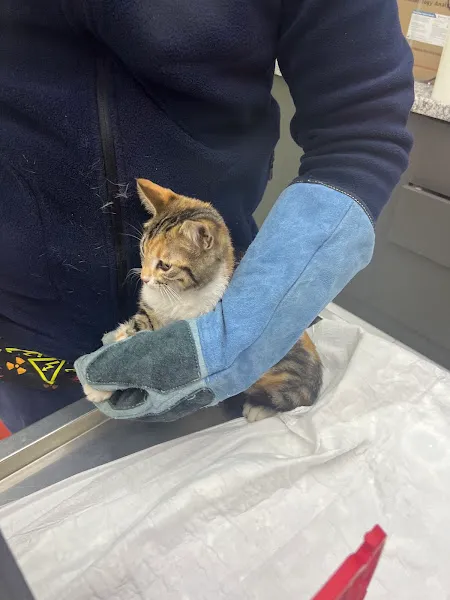 Martı Veteriner Kliniği foto 1