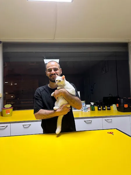 Petstory Veteriner Kliniği 7/24 Küçükçekmece foto 2