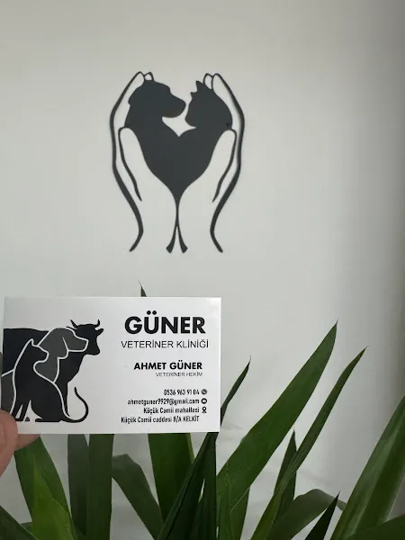 GÜNER VETERİNER KLİNİĞİ foto 2