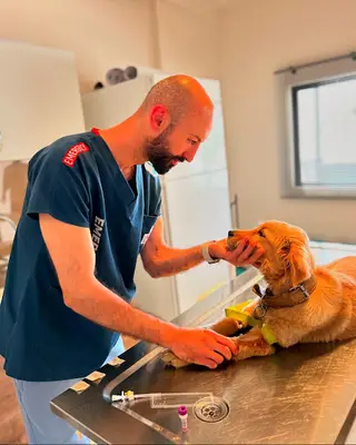 Pedri Veteriner Kliniği