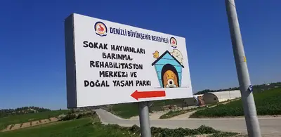 Sokak hayvanlari barinma ve rehabilotasyon merkezi