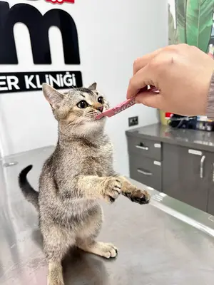 Aydoğmuşlar Veteriner Kliniği