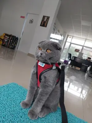 Bahar Veteriner Kliniği