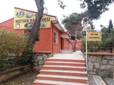 İstanbul-Üsküdar Selimiye Mesleki ve Teknik Anadolu Lisesi Hayvan Hastanesi