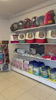 Bgr Petshop