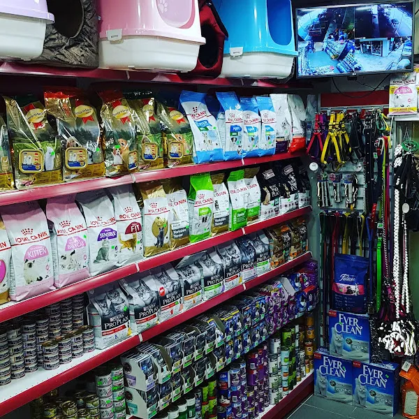 Berfin Akvaryum Pet Shop foto 2