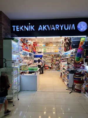 Teknik Akvaryum Buyaka