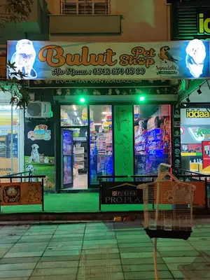 Bulut petshop 3