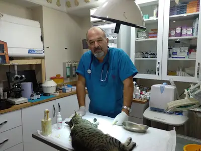 Kordonboyu Veteriner Kliniği / VETERİNER HEKİM ÜMİT GÖLGE