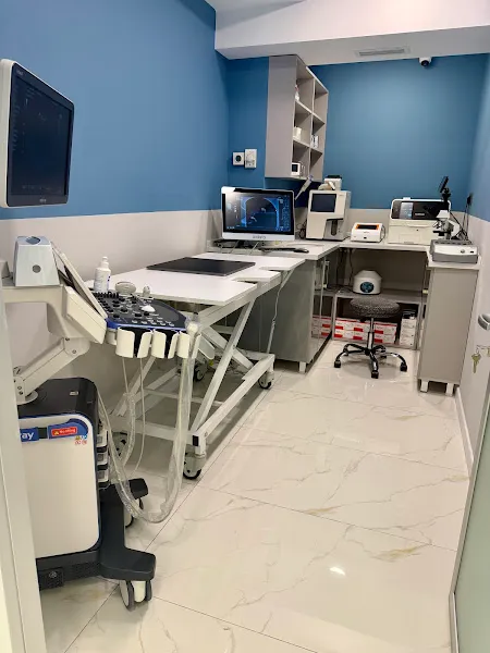 Ataşehir AndromedaVet Veteriner Kliniği-ACİL VETERİNER foto 2